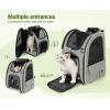 imagePecute Cat Carrier Backpacks Expandable Cat Backpack with Breathable Mesh Pet Carrier Backpack for Cats Small Dogs Puppies Up to 17 Lbs Dog Carrier Backpack Great for Travel Hiking Camping OutdoorGrey