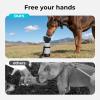 imagePecute Portable Dog Water Bottle 2 in 1 Cat Dog Travel Water Bottle Bowl Leakproof with Double Seal BPA Free Lightweight Pet Small Animal Water Bottel Dispenser for Outdoor Walking Hiking TravelsGrey