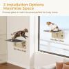 imagePecute 2in1 Cat Window Perch ampamp Wall Shelves  Sturdy Solid Wood Frame 4 Large Rotating Suction Cups Washable Carpet Cloth Cover SpaceSaving Indoor Cat Hammock Bed for Large Cats ampamp KittensCarpet S  118L x 102W x 62H 