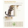 imagePecute 2in1 Cat Window Perch ampamp Wall Shelves  Sturdy Solid Wood Frame 4 Large Rotating Suction Cups Washable Carpet Cloth Cover SpaceSaving Indoor Cat Hammock Bed for Large Cats ampamp KittensCarpet M with Sisal Post