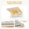 imagePecute 2in1 Cat Window Perch ampamp Wall Shelves  Sturdy Solid Wood Frame 4 Large Rotating Suction Cups Washable Carpet Cloth Cover SpaceSaving Indoor Cat Hammock Bed for Large Cats ampamp KittensCarpet M  157L x 102W x 7H 