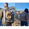 imagePecute Cat Backpack Carrier Small Dog Backpack Carrier Pet Backpack Carrier for Cats Dogs Puppy Kitten Cat Carrier Bag Carrying for Travel Hiking Bike Riding Walking OutdoorLight Gray