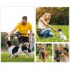 imagePecute Dog Treat Pouch HandsFree Dog Training Bag with Shoulder Strap Waist Belt Metal Clip and Foldable Bowl Builtin Poop Bag Dispenser 3 Ways to Wear Suitable for Training Walking GreyGrey  Green