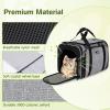 imagePecute Expandable Cat Carrier Soft Side Pet Carrier with Seat Belt Dog Carriers for Small Dogs Portable ampamp Foldable Cat Bag Carrier Great for Travel Outdoor Hiking Camping