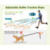 imagePecute Hands Free Dog Leash with Pouch Waist Belt Fanny Pack with Soft Padds Dual Padded Handles and Durable Bungee for Walking Hiking Jogging Biking and Running Up to 220lbsBlack  Blue 20