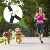 imagePecute Hands Free Dog Leash with Pouch Waist Belt Fanny Pack with Soft Padds Dual Padded Handles and Durable Bungee for Walking Hiking Jogging Biking and Running Up to 220lbsGraynew