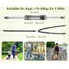 imagePecute Hands Free Dog Leash with Pouch Waist Belt Fanny Pack with Soft Padds Dual Padded Handles and Durable Bungee for Walking Hiking Jogging Biking and Running Up to 220lbsGraynew