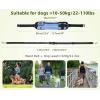imagePecute Hands Free Dog Leash with Pouch Waist Belt Fanny Pack with Soft Pads Dual Padded Handles and Durable Bungee for Walking Hiking Jogging Biking and Running Up to 220lbs Blue