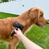 imagePecute SelfCleaning Slicker Brush for Dogs Cats Lightweight Dog Brush for Shedding Massaging Grooming Cat Brush Gently Removes Loose Fur Undercoat for Dogs Cats Rabbits of All Hair TypesBlack