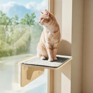 imagePecute 2in1 Cat Window Perch ampamp Wall Shelves  Sturdy Solid Wood Frame 4 Large Rotating Suction Cups Washable Carpet Cloth Cover SpaceSaving Indoor Cat Hammock Bed for Large Cats ampamp KittensCarpet M  157L x 102W x 7H 