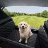 imagePecute SUV Cargo Liner for Dogs  Water Resistant Pet Cover Dog Seat Mat with Soft Cushion for SUVs Sedans with Bumper Flap Protector NonSlip 381quot x 271quot x 141quot Easy to Clean