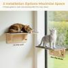 imagePecute 2in1 Large Cat Window Perch ampamp Wall Shelves Cat Hammock Window with Solid Wood Strong Suction Cup Washable Cover Mat Window seat Indoor Cats Perch Bed for Birds Watching Inside 21quotx11quotCarpet L  205L x 11W x 7H 