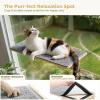 imagePecute 2in1 Large Cat Window Perch ampamp Wall Shelves Cat Hammock Window with Solid Wood Strong Suction Cup Washable Cover Mat Window seat Indoor Cats Perch Bed for Birds Watching Inside 21quotx11quotCarpet L  205L x 11W x 7H 