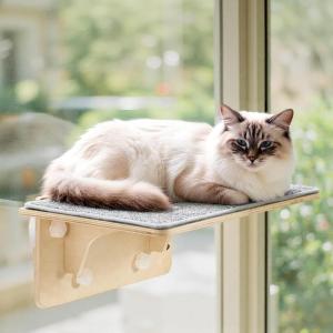 imagePecute 2in1 Large Cat Window Perch ampamp Wall Shelves Cat Hammock Window with Solid Wood Strong Suction Cup Washable Cover Mat Window seat Indoor Cats Perch Bed for Birds Watching Inside 21quotx11quotCarpet L  205L x 11W x 7H 