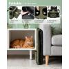 imagePecute Cat Carrier for 2 CatsCollapsible Soft Cat Carrier for Small to Medium Catcan Hold 20lbs for Two Kitty PuppyStable and Secure Framework DesignExtra Large Dog Carrier for TravelGreenGreen