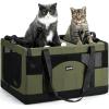 imagePecute Cat Carrier for 2 CatsCollapsible Soft Cat Carrier for Small to Medium Catcan Hold 20lbs for Two Kitty PuppyStable and Secure Framework DesignExtra Large Dog Carrier for TravelGreenGreen