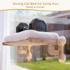 imagePecute Foldable Cat Window Perch CloudSoft Cat Bed with Solid Wood Frame Strong Suction Cup Washable Cushion Stable Large Cats Hammock with Sided Bolster Cats Perch Indoor for Sunbathing WhiteWhite Cushion Cat Bed