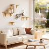 imagePecute Foldable Cat Window Perch CloudSoft Cat Bed with Solid Wood Frame Strong Suction Cup Washable Cushion Stable Large Cats Hammock with Sided Bolster Cats Perch Indoor for Sunbathing WhiteWhite Cushion Cat Bed