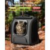 image:imagePecute Cat Backpack Carrier Large Space Cat Bubble Backpack Breathable Cat Carrier Shaded Dog Backpack Carrier Ergonomic 3D Design for Travel Hiking Suitable for Shopping and Vet XL Gray