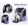 image:imagePecute Expandable Cat Backpack Carrier Backpack for Cats amp Small Dogs Up to 11lbs with 4Side Breathable Mesh MultiEntry amp Lockable Zippers for Travel Hiking Camping  Hands Free GreenPurple