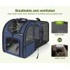 image:imagePecute Expandable Cat Backpack Carrier Backpack for Cats amp Small Dogs Up to 11lbs with 4Side Breathable Mesh MultiEntry amp Lockable Zippers for Travel Hiking Camping  Hands Free GreenBlue