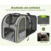 image:imagePecute Expandable Cat Backpack Carrier Backpack for Cats amp Small Dogs Up to 11lbs with 4Side Breathable Mesh MultiEntry amp Lockable Zippers for Travel Hiking Camping  Hands Free GreenGrey with Shade Cover