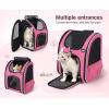 image:imagePecute Expandable Cat Backpack Carrier Backpack for Cats amp Small Dogs Up to 11lbs with 4Side Breathable Mesh MultiEntry amp Lockable Zippers for Travel Hiking Camping  Hands Free GreenPink