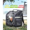 image:imagePecute Small Pet Carrier Breathable Small Animal Carrier with Transparent Bubble amp Steel Frame Safety Lock for Hamster Rabbit Bearded Dragon Guinea Pig Parrot Ideal for Hiking Vet Visits GrayGray