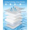 image:imagePecute Cat Cooling House with Cooling Mat for Small Dogs Indoor cat bed with insulation and 6 builtin ice packs Foldable Transparent Window Outdoor Cat House for Medium Pets Under 176lbs L GrayGray