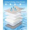 image:imagePecute Cat Cooling House with Cooling Mat for Small Dogs Indoor Cat bed with insulation and 6 builtin ice packs Foldable Transparent Window Outdoor Cat House for Small Pets Under 132lbs Cream MCream