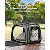 image:imagePecute Cat Carrier for Dog Pet Carrier with Bubble Window Stable Large Space Pet CarrierBreathable SoftSided Dog Carrier with Locking Zippers Sunshade Pet Travel Bag for Small Dog Cat TravelGray MGray